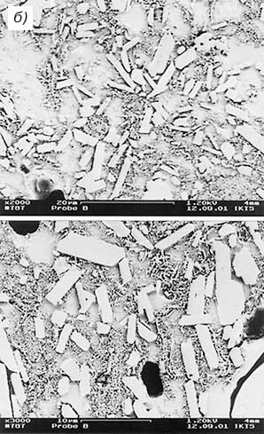 03085-8b.jpg