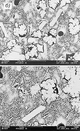 03085-7b.jpg