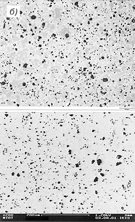 03085-3b.jpg